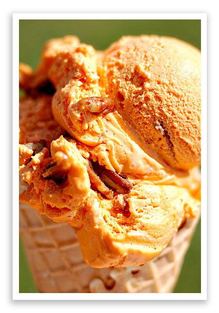 pumpkinpecanicecream pumpkinpecanicecream