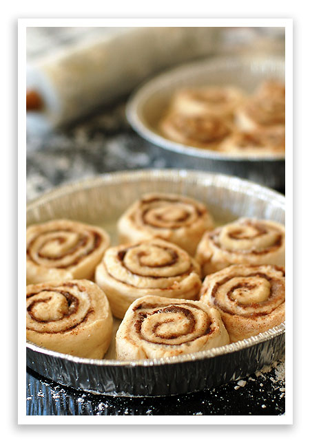 cinnrolls2