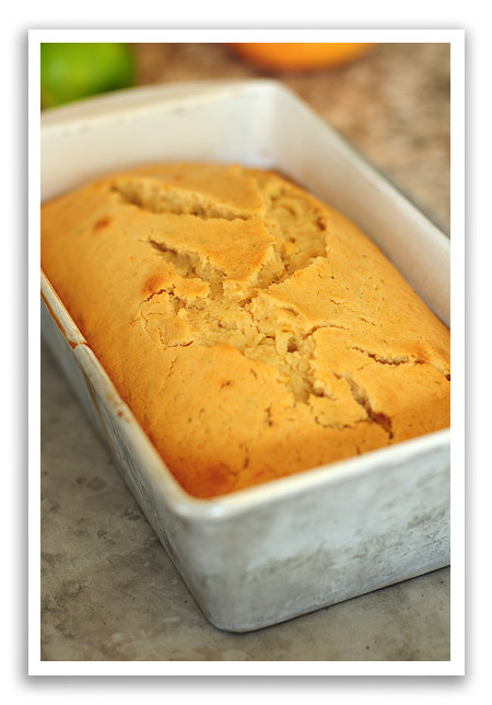 grapefruitlimecake4