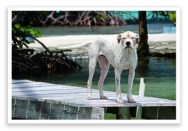 belizevacation2