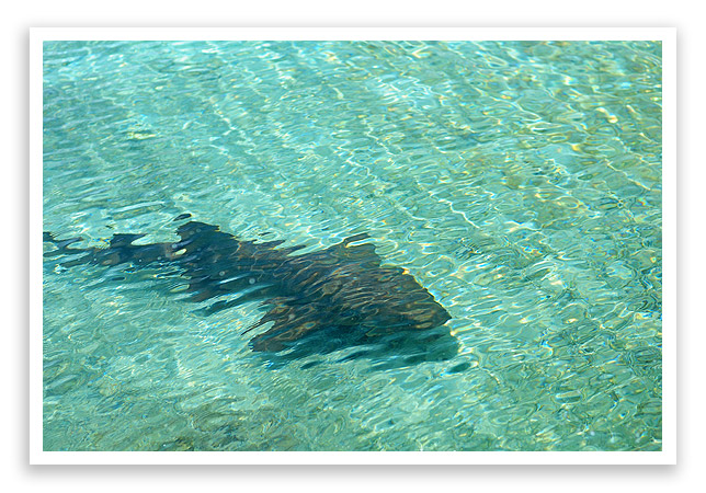 belizevacation21