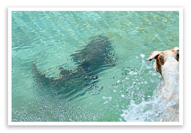 belizevacation22