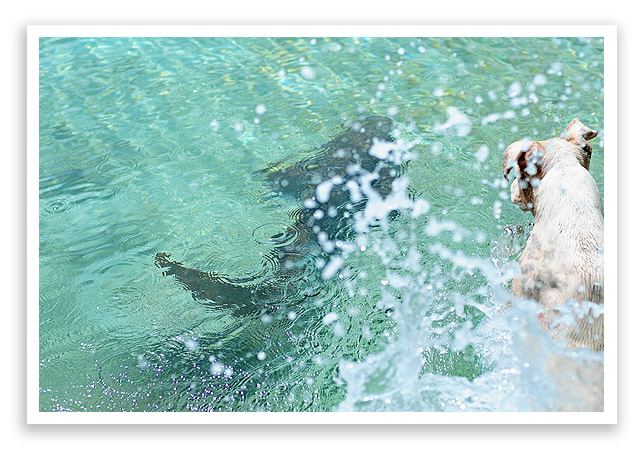 belizevacation23