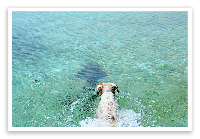 belizevacation24
