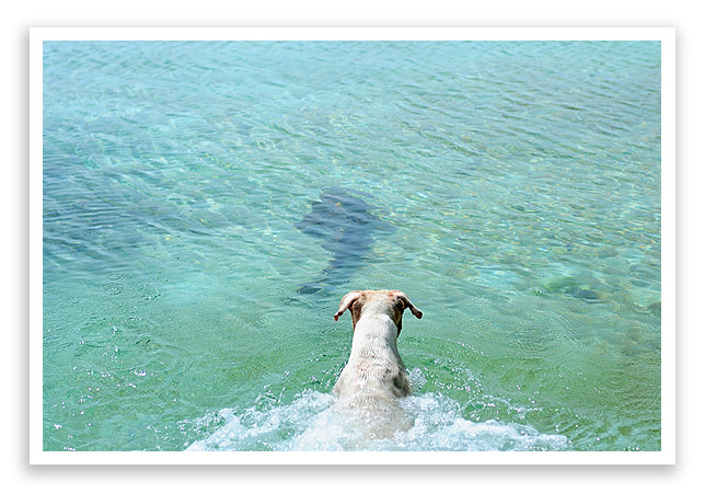 belizevacation25