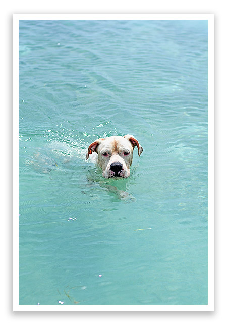 belizevacation35