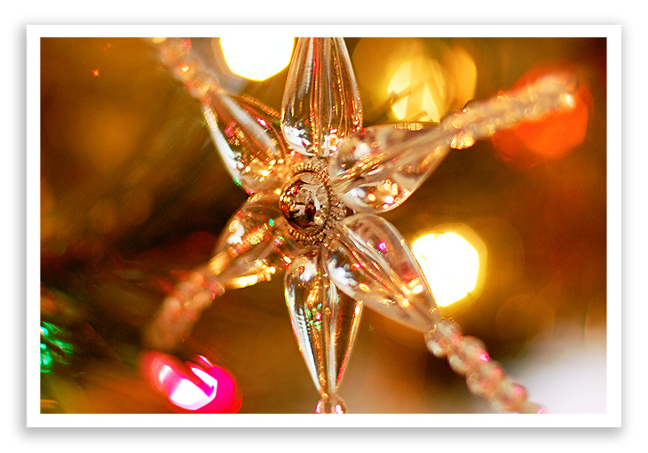 festive-friday-1
